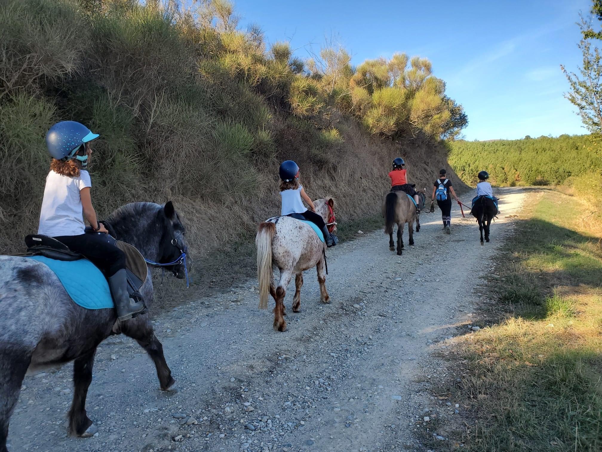 IMG_2192 Balade à poney dans un hébergement insolite en Languedoc-Roussillon, nature verdoyante.
