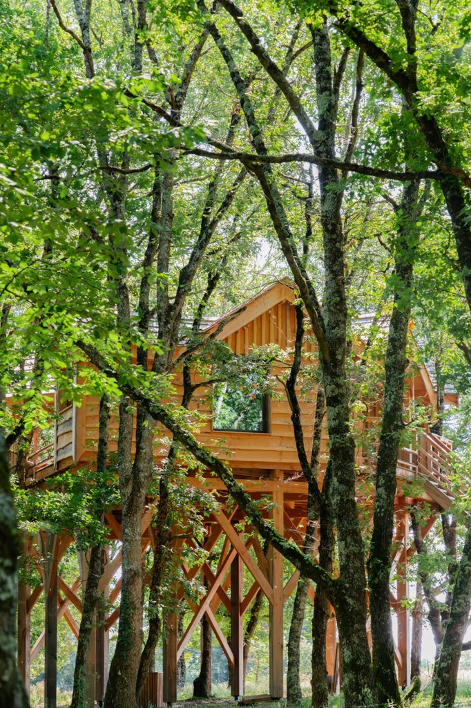 resized_allysonlaffittephotographe-83