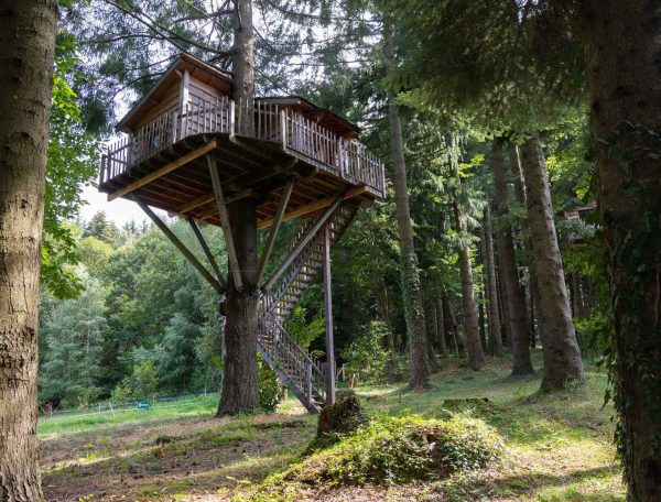 version-internet-121-marmotte-herisson