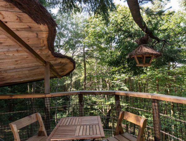 version-internet-49-hibou-1