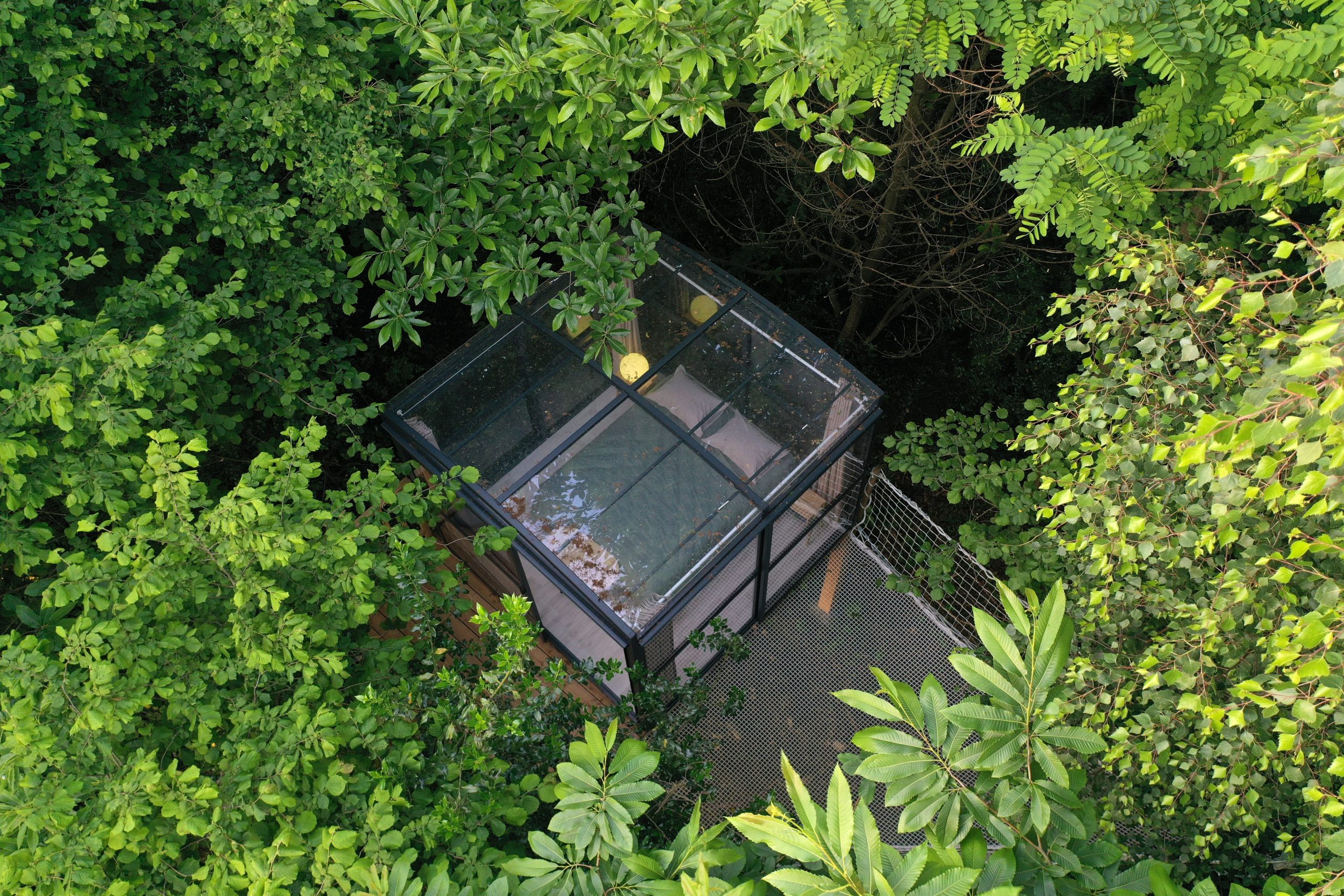 ©J.Estrade-Spirubulle-007(1) Cabane en verre perchée dans les arbres, entourée de verdure luxuriante.