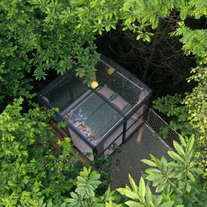 ©J.Estrade-Spirubulle-007(1)