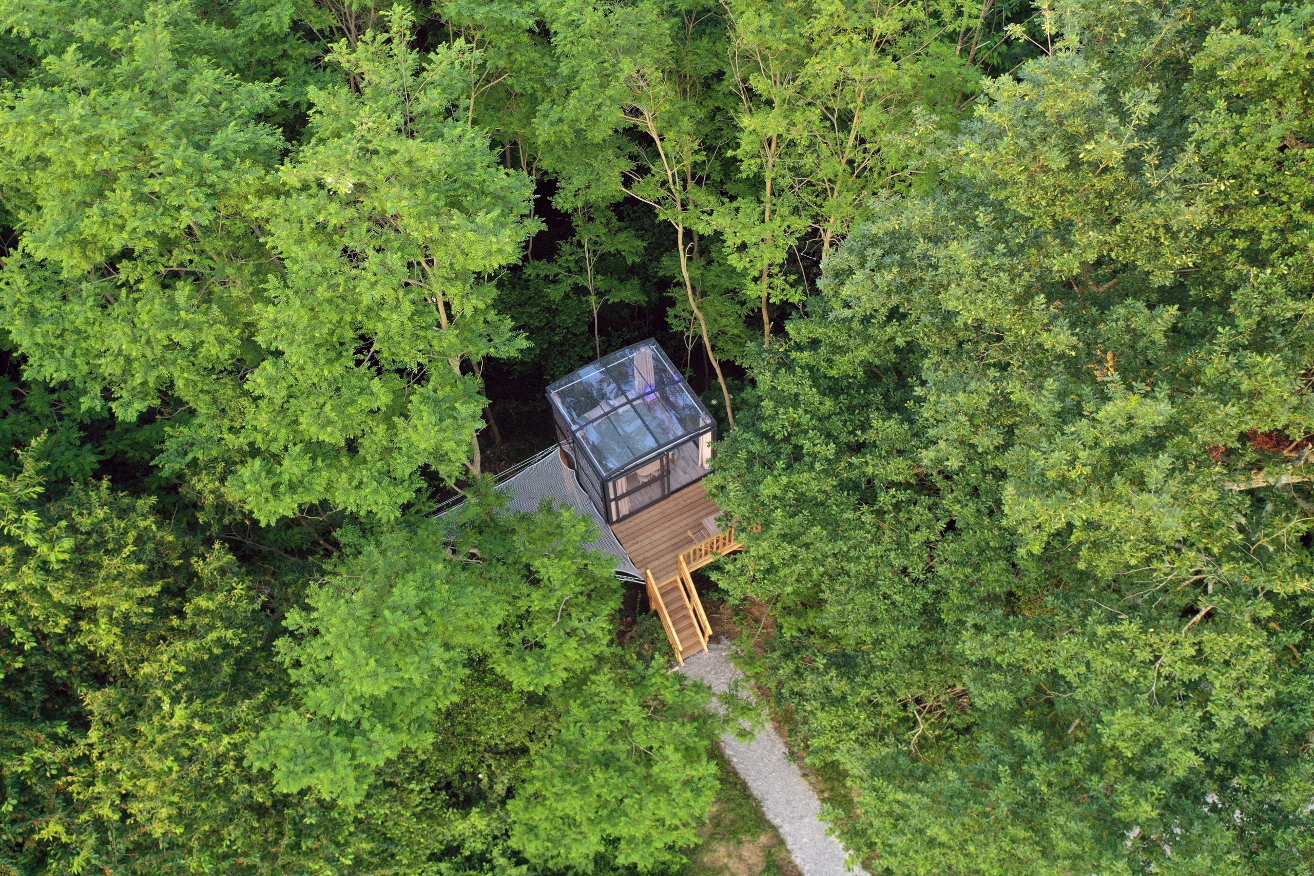 ©J.Estrade-Spirubulle-011 Cabane en bois perchée dans les arbres, avec un toit vitré et accès par un escalier.