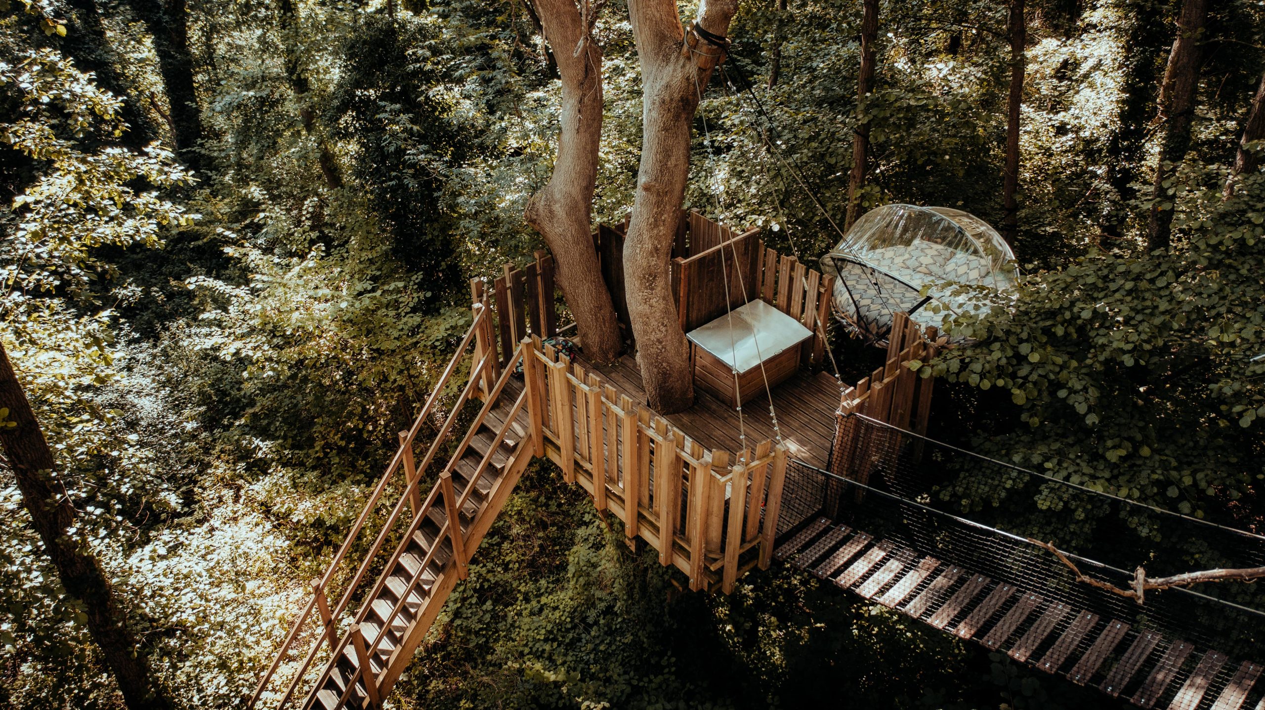 Bulle sanglier mi-hauter à 7m-min