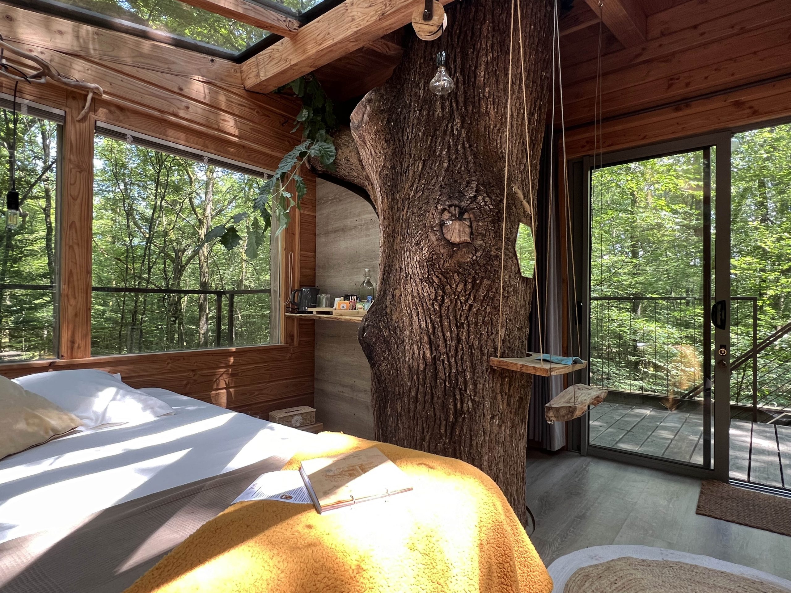 Etoiles2 Cabane perchée en bois avec un arbre au centre, vue sur la forêt verdoyante.