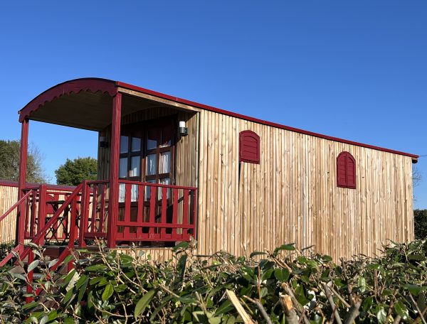 01DA40AE-7E8D-4880-98A6-DB94F1764648