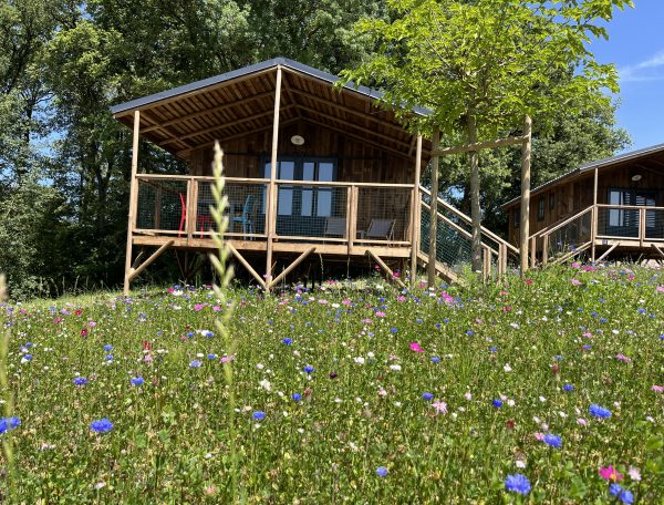 37FF8037-5CB6-4DAB-A279-98657478A21D