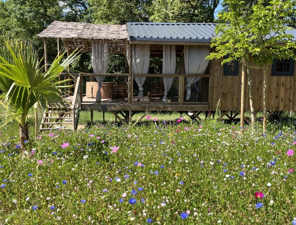 68572D48-56E8-48E5-9B1F-4541935EE65C