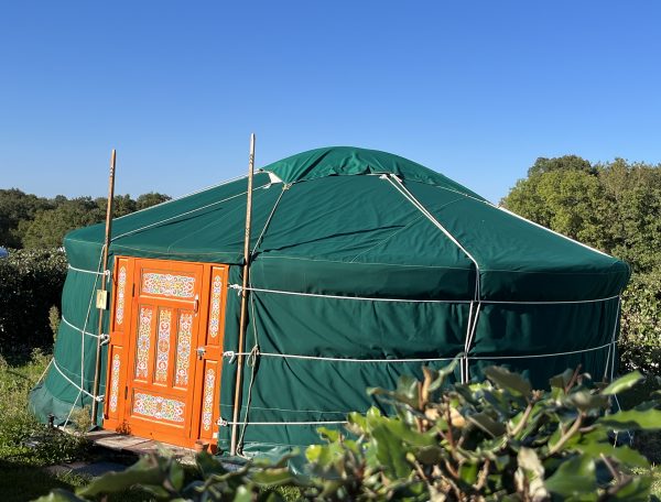 D7A354C9-9D0B-4713-9408-F9428A812A27