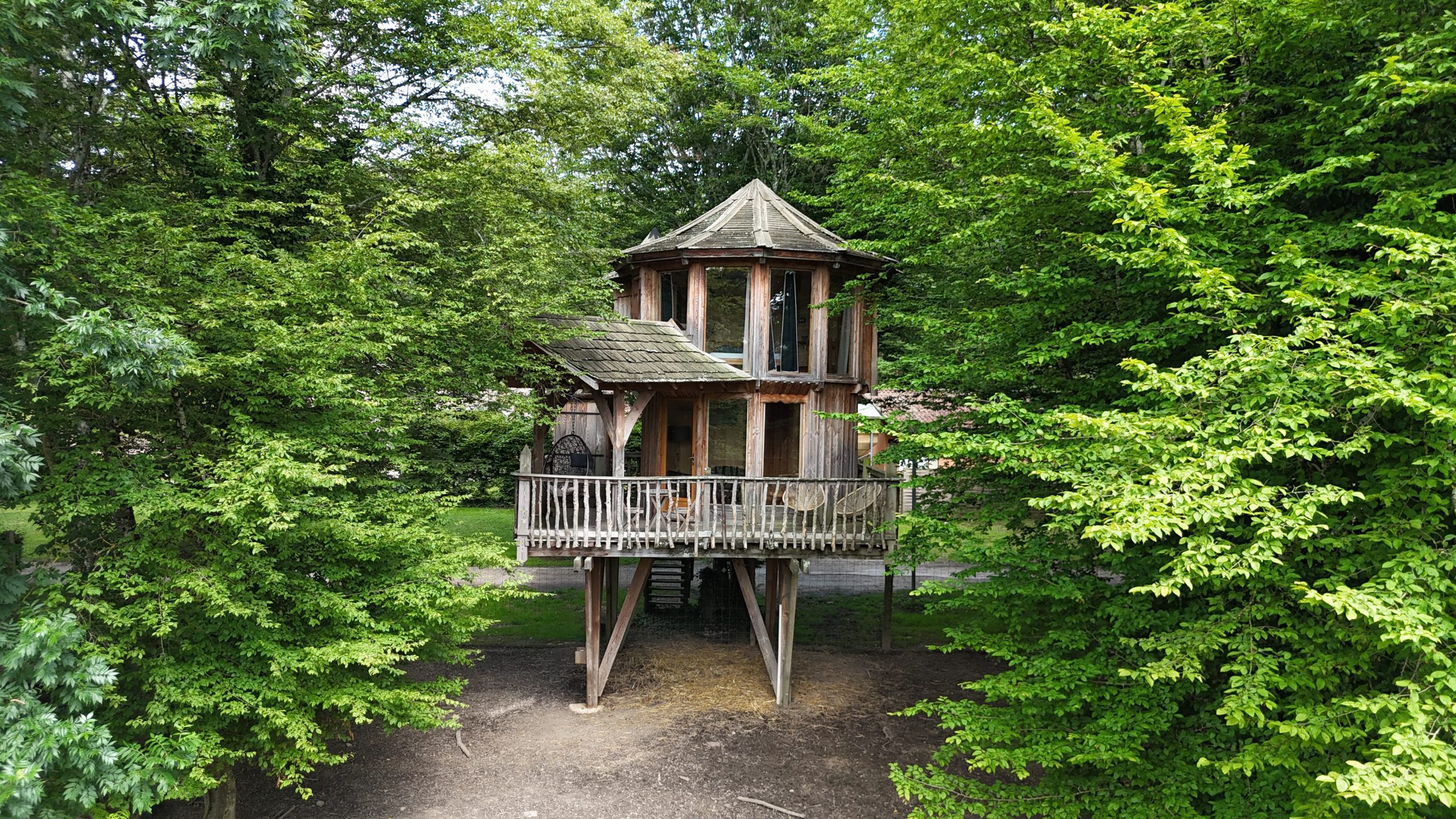 DJI_20240605170648_0094_D Cabane perchée en bois, entourée darbres verdoyants en Auvergne-Rhône-Alpes.