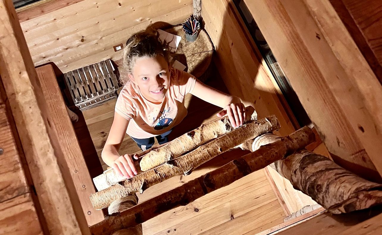 WhatsApp Image 2024-09-04 at 16.18.02 Cabane en bois dans les arbres, avec une échelle en rondins et une vue intérieure chaleureuse.