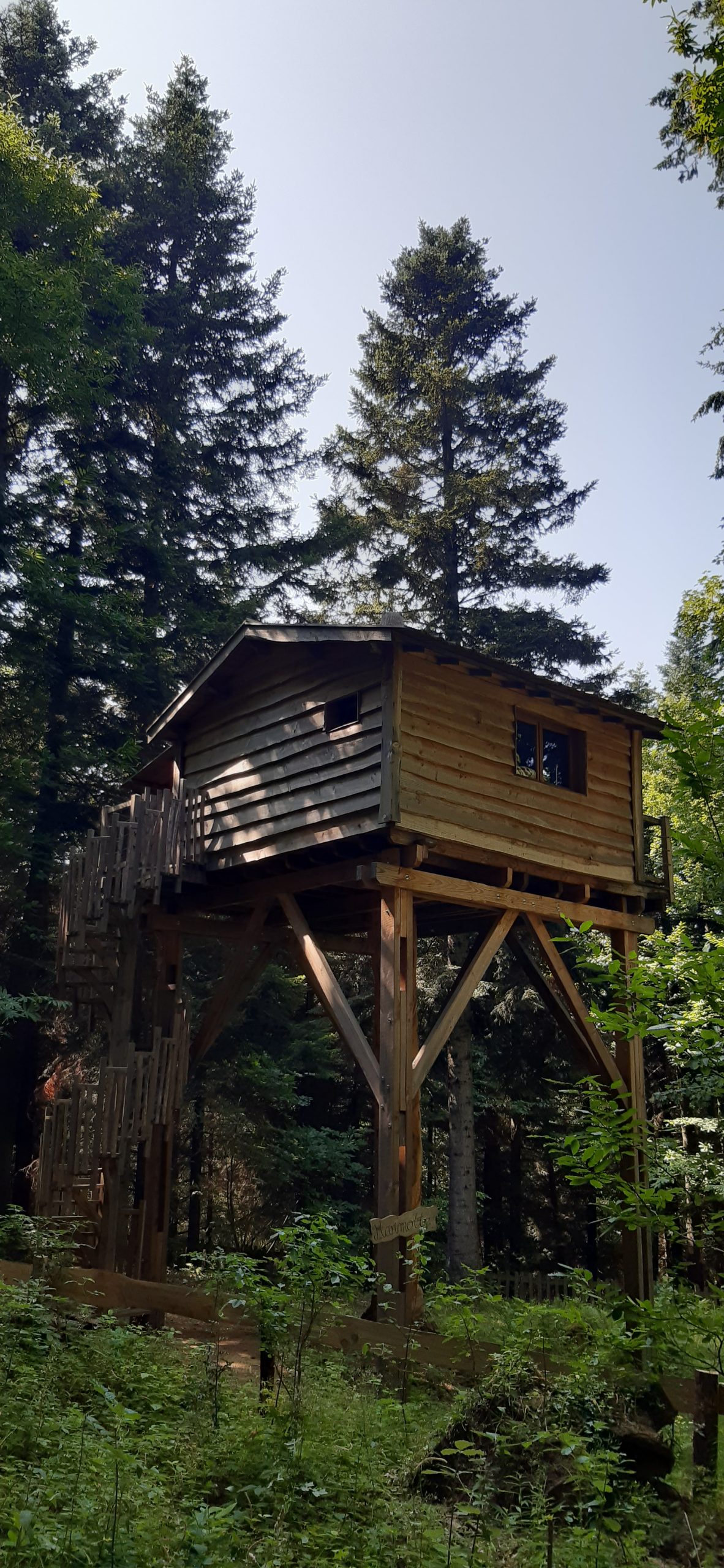 20230723_162305 Cabane perchée en bois, entourée de sapins, offrant une vue imprenable sur la nature.