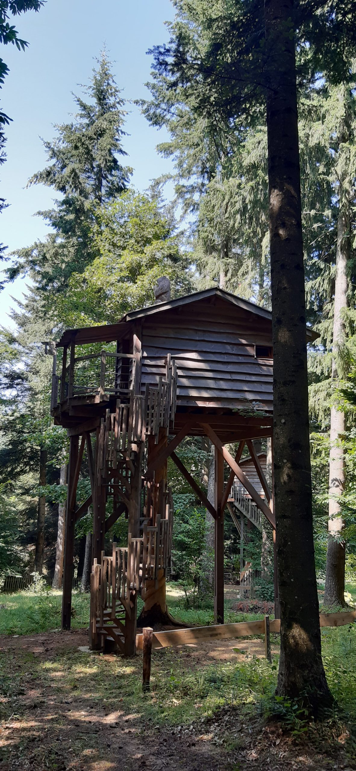 20230723_162347 Cabane perchée en bois dans les arbres, entourée de verdure luxuriante.