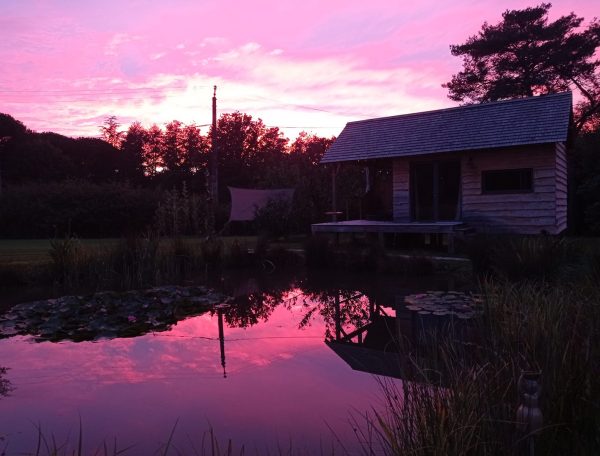 244536735_420291562842694_6035466724250522767_n