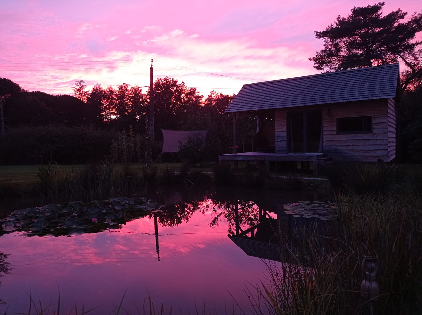 244536735_420291562842694_6035466724250522767_n