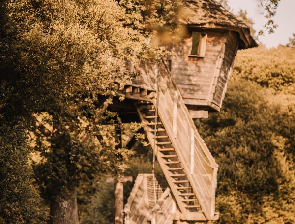 ChouetteCabane_JustineB-212