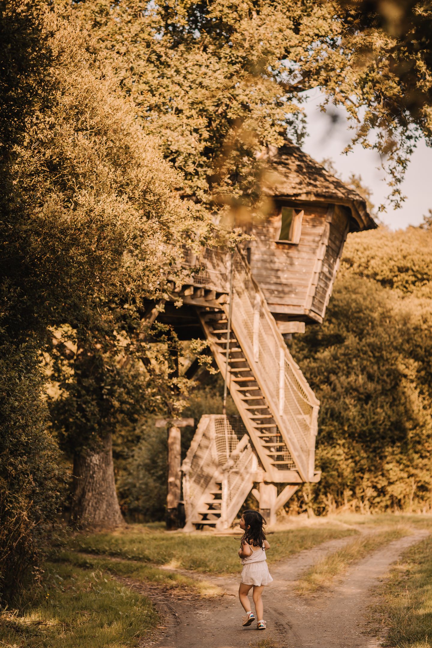 ChouetteCabane_JustineB-212