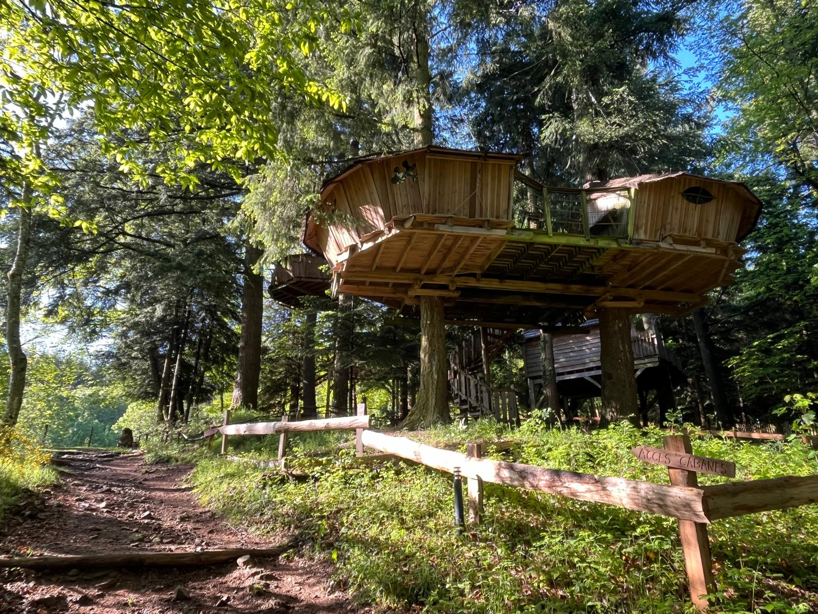 IMG-20240527-WA0001 Cabane perchée dans les arbres, entourée de verdure et accessible par un sentier.