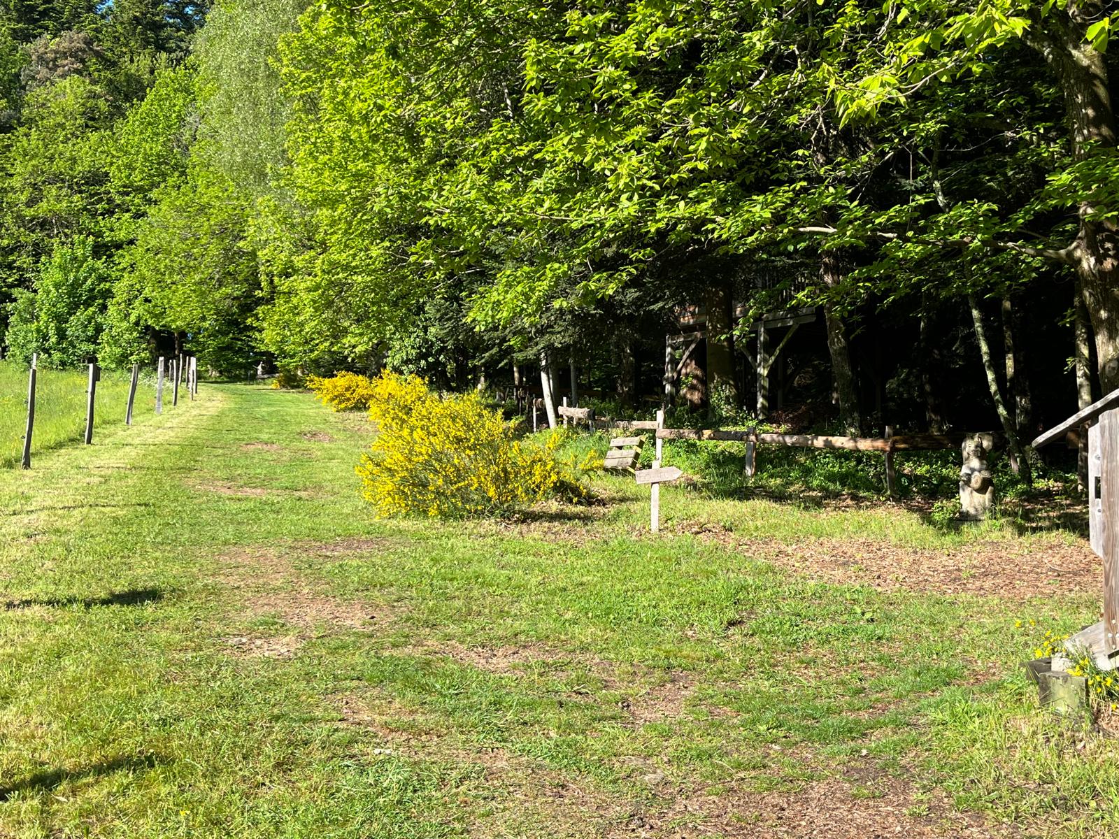 IMG-20240527-WA0002 Hébergement insolite en pleine nature, entouré darbres verdoyants et de fleurs jaunes.