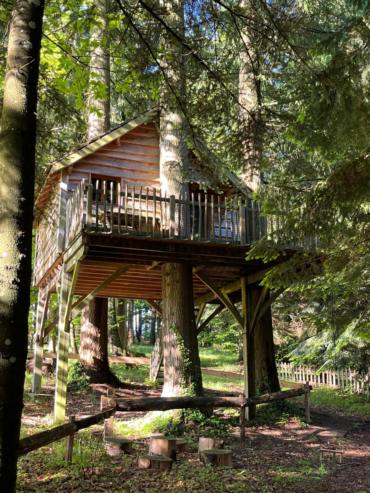 IMG-20240527-WA0004 Cabane perchée dans les arbres, entourée de verdure, offrant une vue apaisante.