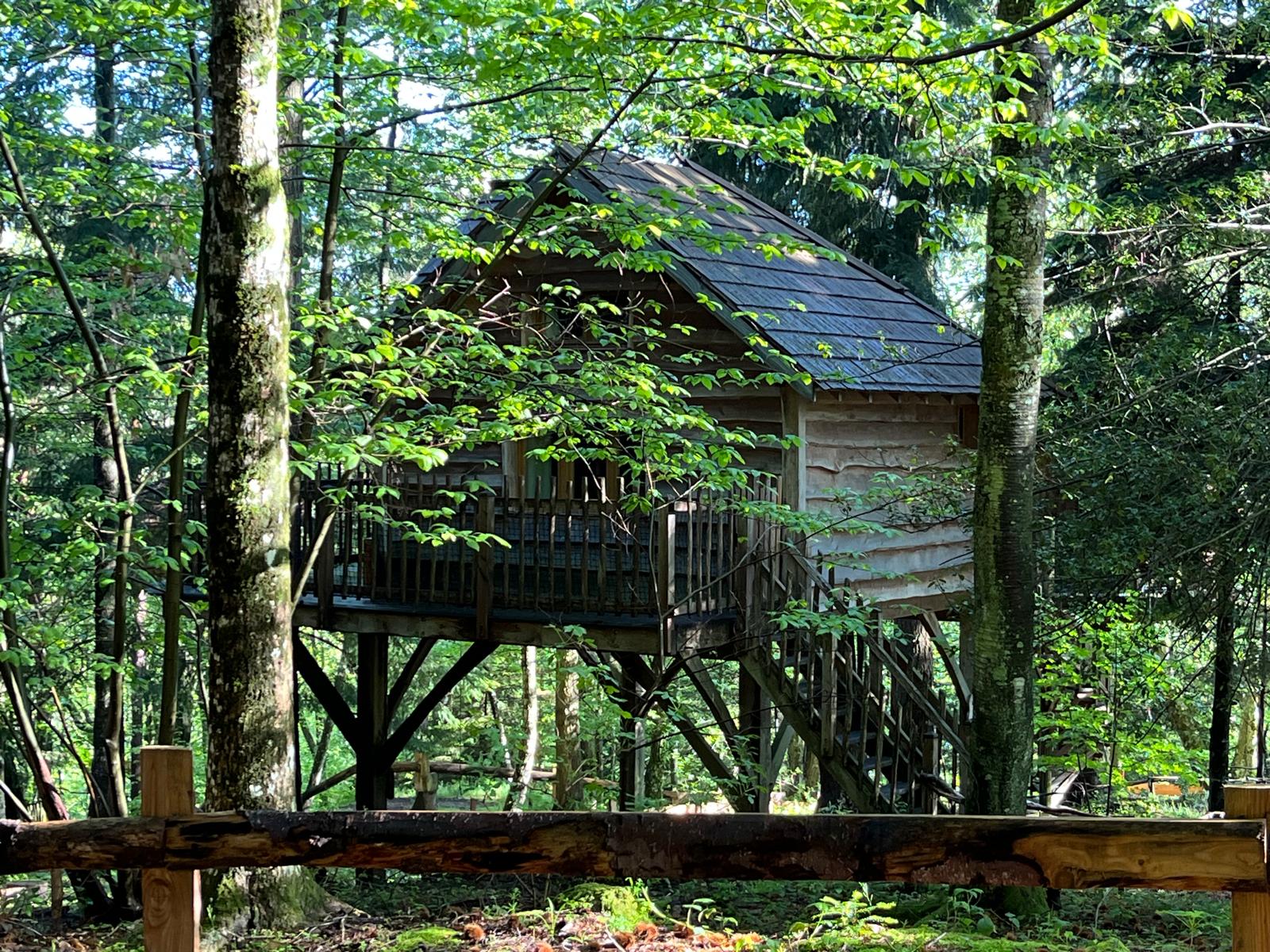 IMG-20240612-WA0003 Cabane perchée en bois, entourée darbres verdoyants en Auvergne-Rhône-Alpes.