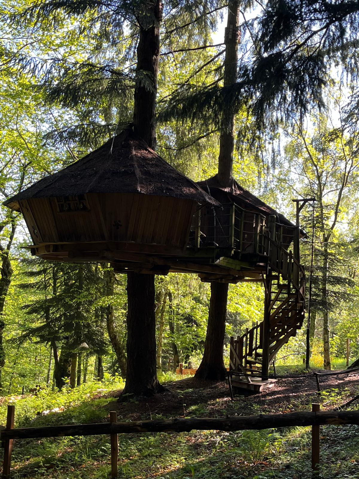 IMG-20240612-WA0004 Cabane perchée dans les arbres, entourée de verdure luxuriante en Auvergne-Rhône-Alpes.