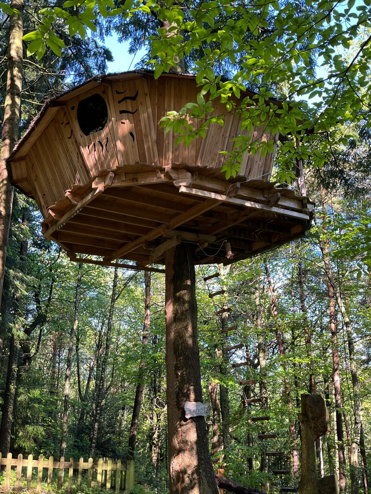 IMG-20240612-WA0006 Cabane perchée en bois dans les arbres, entourée de verdure en Auvergne-Rhône-Alpes.
