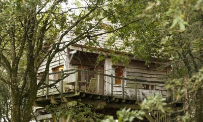 La Cabane de l’écureuil