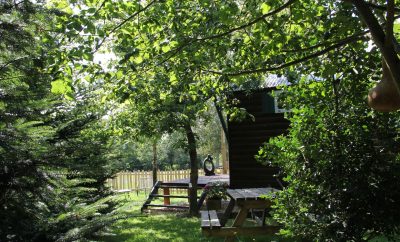 Roulotte Kanavu au coeur des animaux