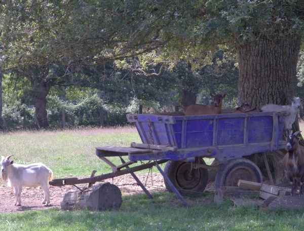 Ecodomaine Rever Ailleurs en Pays de la Loire