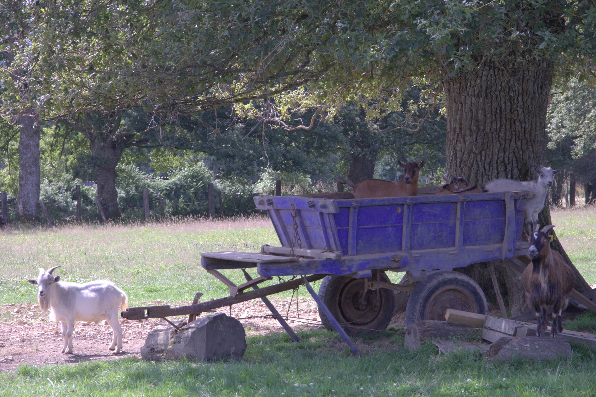 Ecodomaine Rever Ailleurs en Pays de la Loire