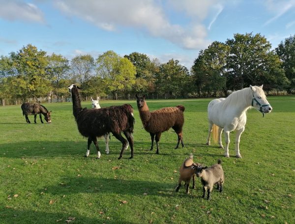 Ecodomaine Rever Ailleurs en Pays de la Loire