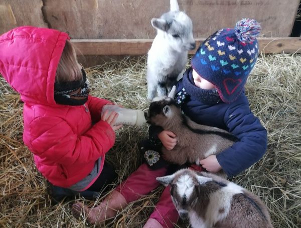 Ecodomaine Rever Ailleurs en Pays de la Loire