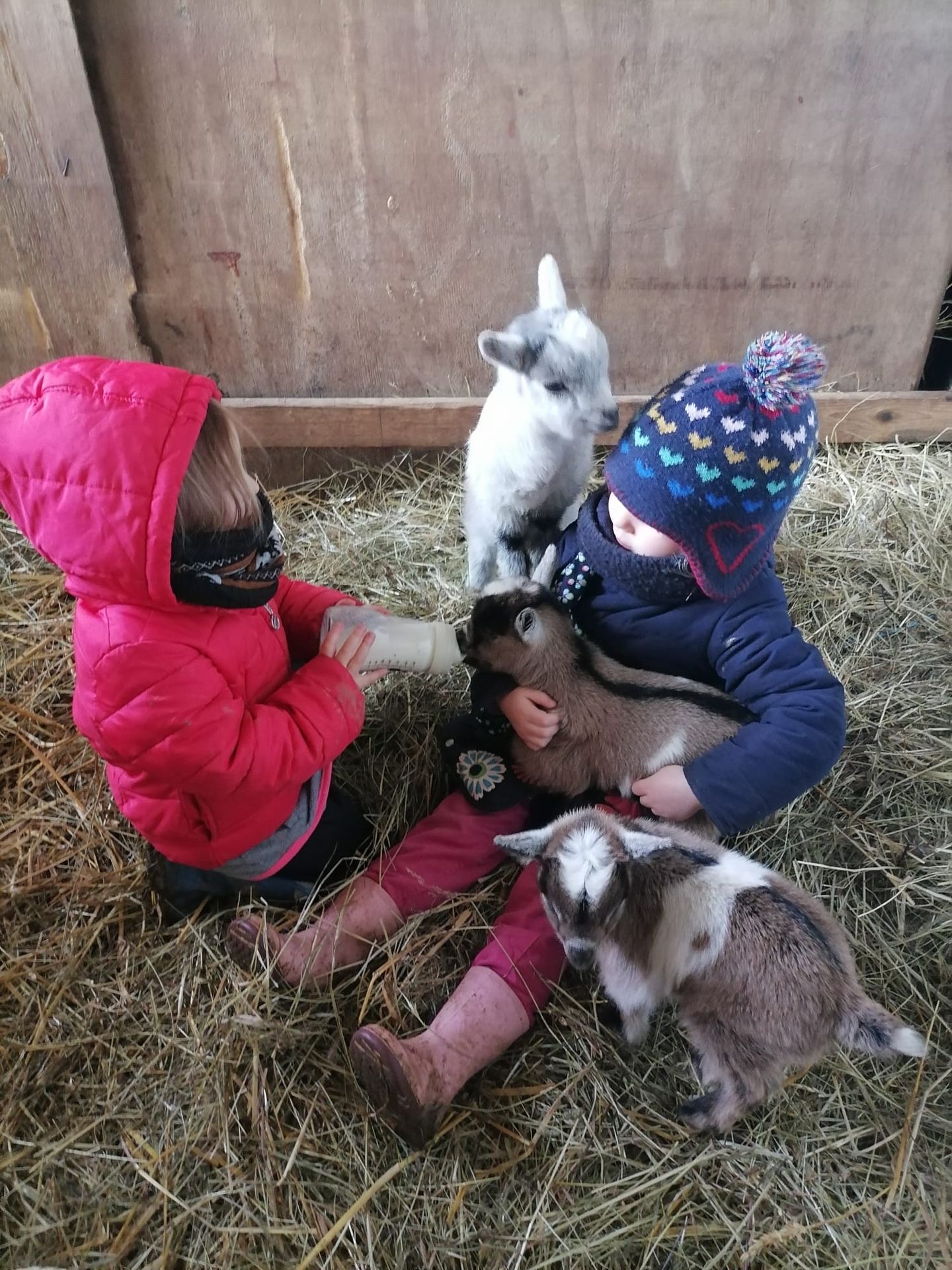 Ecodomaine Rever Ailleurs en Pays de la Loire