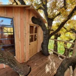 Cabane dans les arbres en bois, entourée de feuillage doré et de branches robustes.