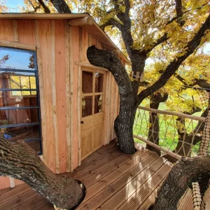 Cabane dans les arbres en bois, entourée de feuillage doré et de branches robustes.