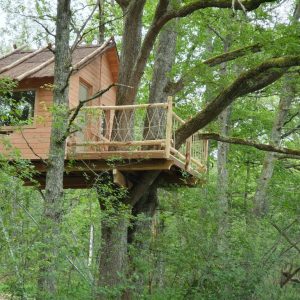 Cabane dans les arbres, perchée entre les feuillages verdoyants.
