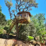 Cabane dans les arbres avec terrasse, entourée de verdure et piscine en contrebas.