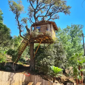 Cabane dans les arbres avec terrasse, entourée de verdure et piscine en contrebas.