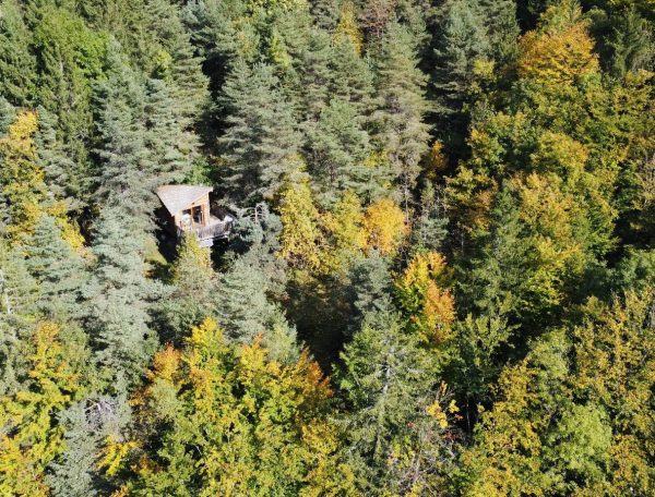 5ab0ad6a-8881-4739-ba60-0125fe433b9c