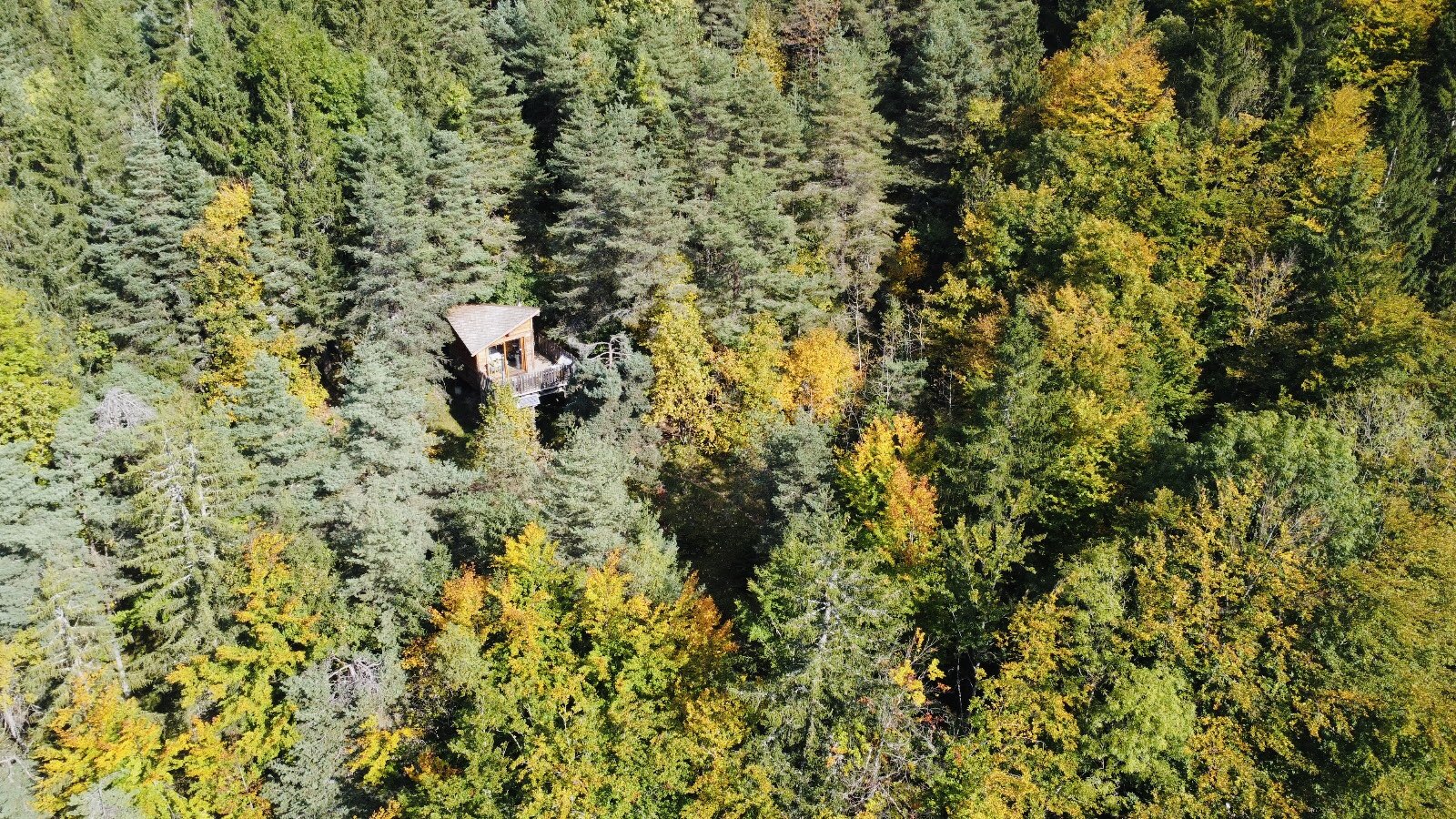 5ab0ad6a-8881-4739-ba60-0125fe433b9c