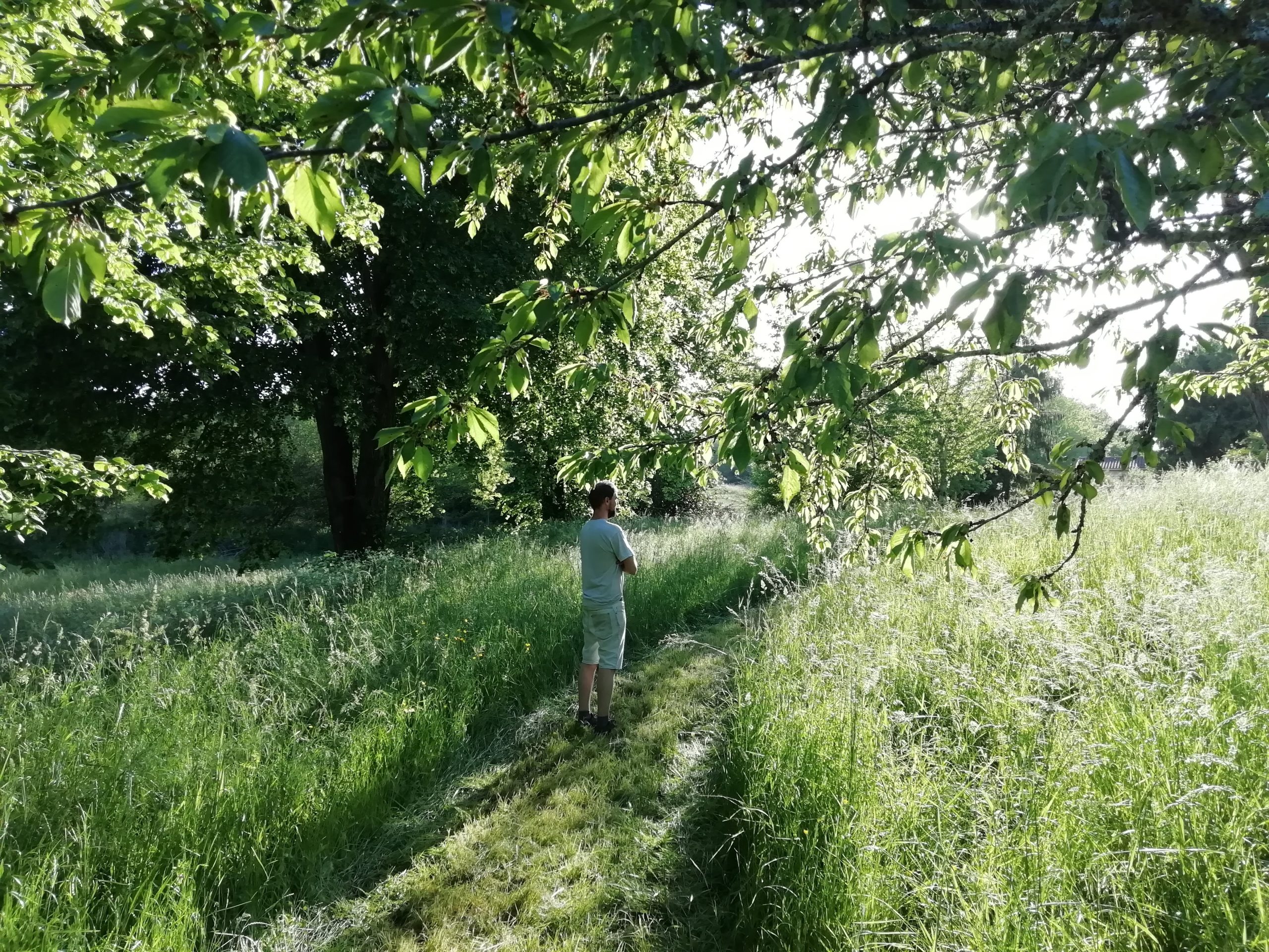 balade Hébergement insolite en Nouvelle-Aquitaine, au milieu dune verdure luxuriante.