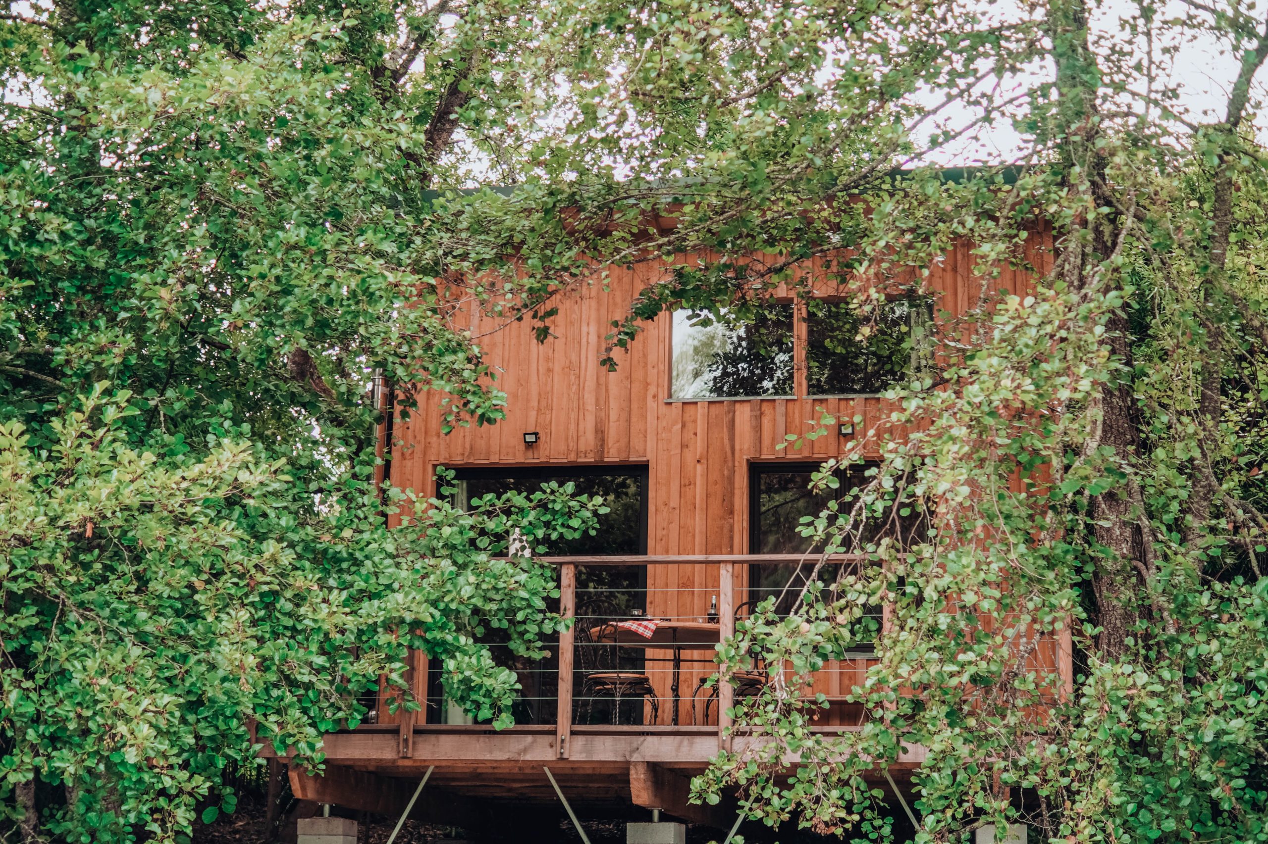 face-proche Cabane en bois perchée, entourée de verdure, avec terrasse en bois accueillante.
