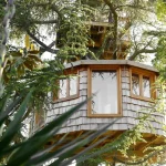 Cabane dans les arbres en bois, perchée au milieu dune verdure luxuriante.