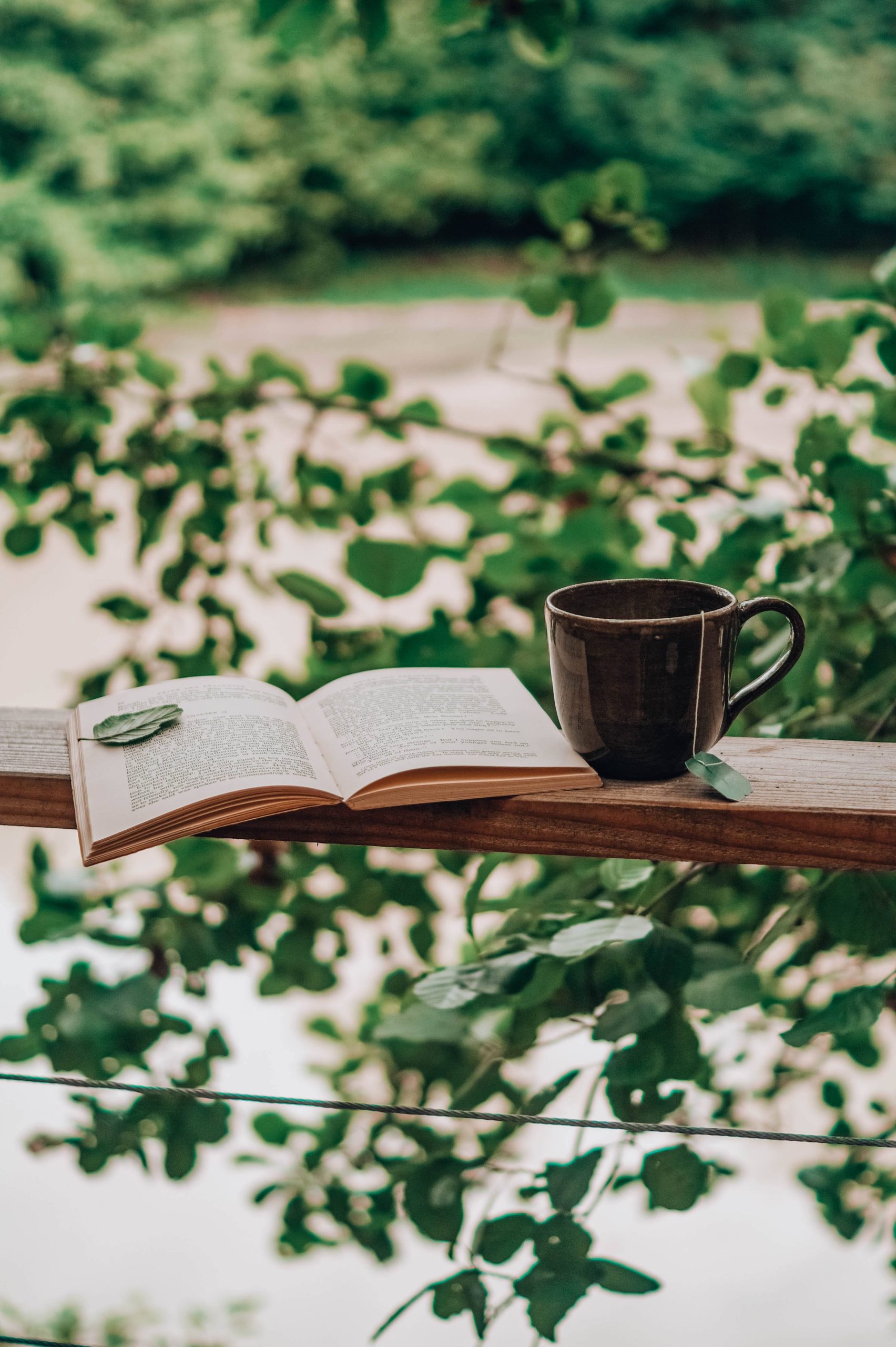 livre Hébergement insolite en Nouvelle-Aquitaine : un livre ouvert et une tasse sur un balcon verdoyant.