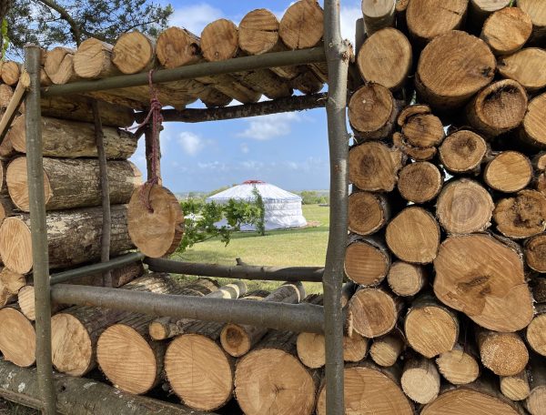 tempImagejRVSAF-scaled