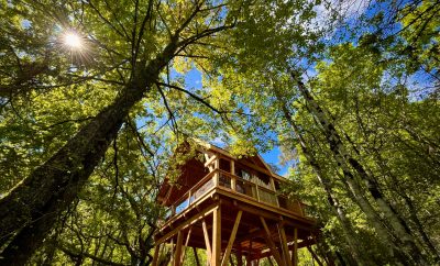 Cabane perchée avec spa et sauna