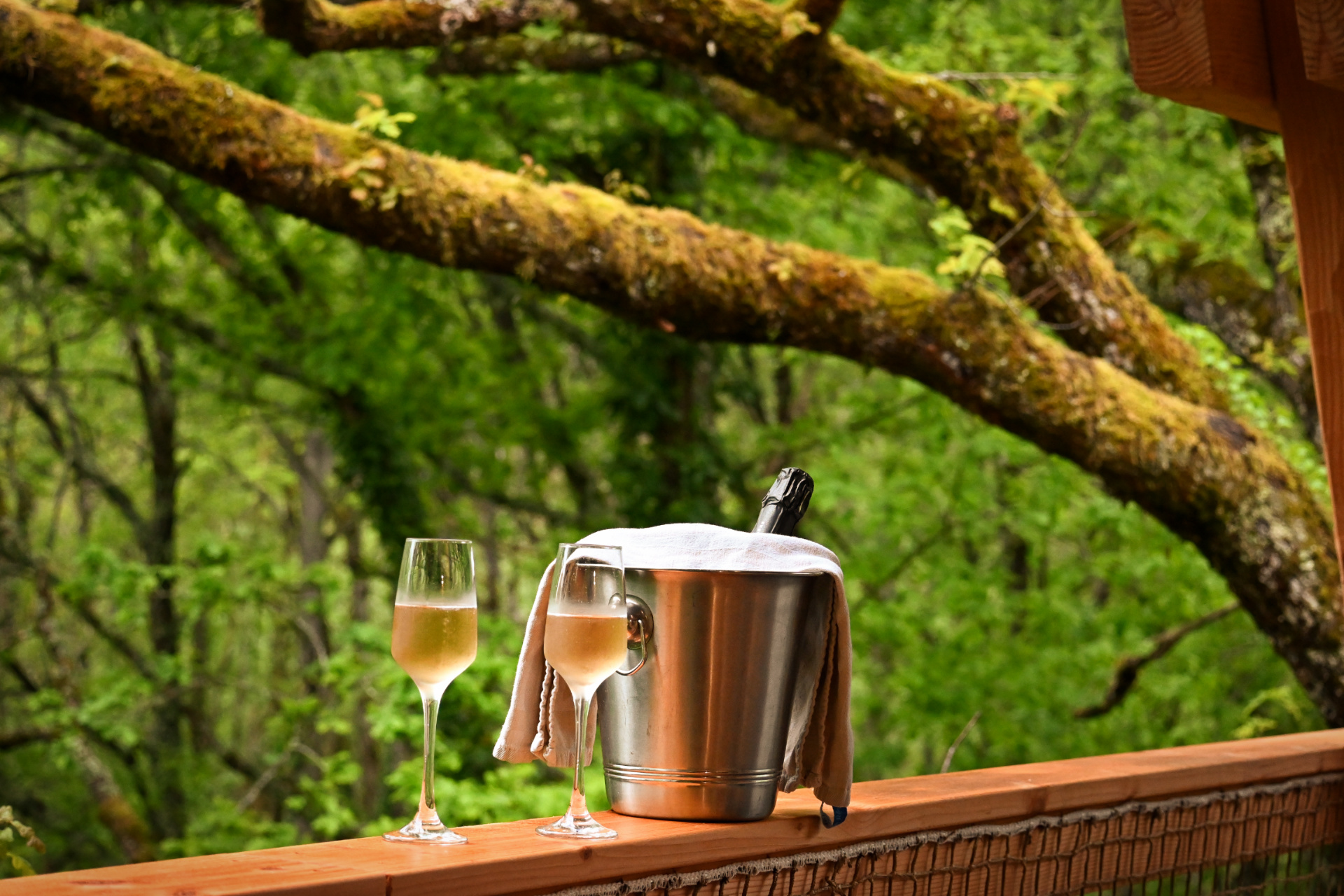 Champagne cabane dans les arbres foret Cabane perchée en Midi-Pyrénées, avec flûtes de champagne sur la terrasse boisée.