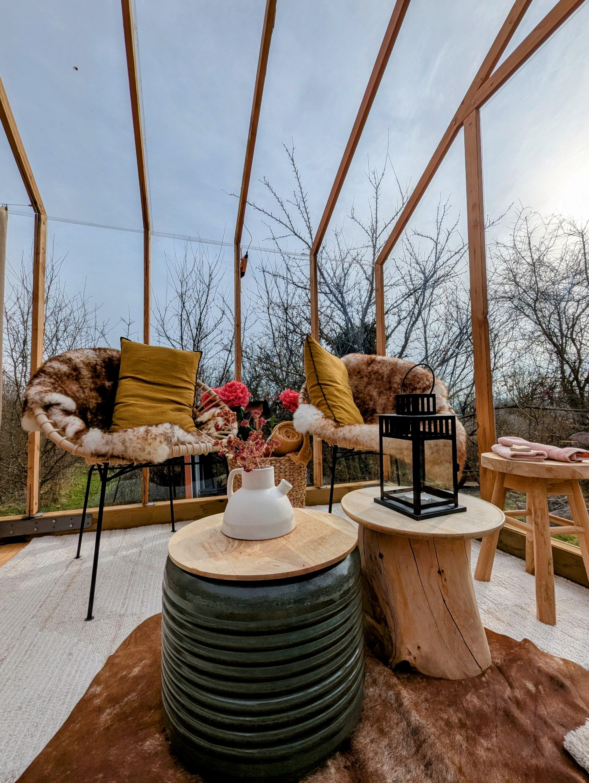 PXL_20250208_124549877.MP~2 Hébergement insolite en véranda à Grand-Est, avec chaises confortables et décor floral.