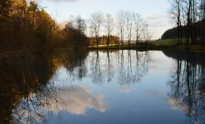 La maison de l’étang